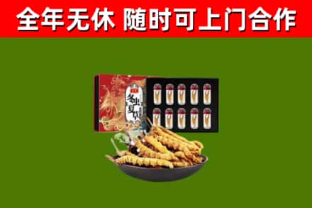 利州区回收冬虫夏草价格